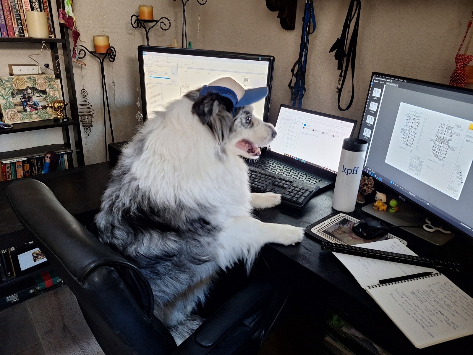 Helen Beck shadow art